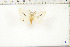  ( - BC-TB6455)  @12 [ ] Copyright (2010) Thierry Bouyer Unspecified