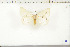  ( - BC-TB6458)  @12 [ ] Copyright (2010) Thierry Bouyer Unspecified