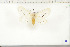  ( - BC-TB6461)  @12 [ ] Copyright (2010) Thierry Bouyer Unspecified