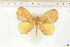  ( - BC-TB6527)  @13 [ ] Copyright (2010) Thierry Bouyer Unspecified