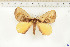  ( - BC-TB6529)  @13 [ ] Copyright (2010) Thierry Bouyer Unspecified