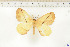  ( - BC-TB6533)  @12 [ ] Copyright (2010) Thierry Bouyer Unspecified