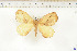  ( - BC-TB6534)  @13 [ ] Copyright (2010) Thierry Bouyer Unspecified