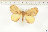  ( - BC-TB6535)  @13 [ ] Copyright (2010) Thierry Bouyer Unspecified