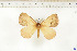  ( - BC-TB6536)  @13 [ ] Copyright (2010) Thierry Bouyer Unspecified