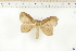  ( - BC-TB6544)  @11 [ ] Copyright (2010) Thierry Bouyer Unspecified