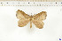  ( - BC-TB6545)  @11 [ ] Copyright (2010) Thierry Bouyer Unspecified