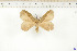  ( - BC-TB6546)  @13 [ ] Copyright (2010) Thierry Bouyer Unspecified