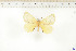  ( - BC-TB6547)  @12 [ ] Copyright (2010) Thierry Bouyer Unspecified