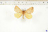  ( - BC-TB6550)  @13 [ ] Copyright (2010) Thierry Bouyer Unspecified