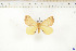  ( - BC-TB6551)  @13 [ ] Copyright (2010) Thierry Bouyer Unspecified
