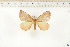  ( - BC-TB6556)  @12 [ ] Copyright (2010) Thierry Bouyer Unspecified