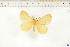  ( - BC-TB6557)  @11 [ ] Copyright (2010) Thierry Bouyer Unspecified