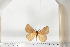 ( - BC-TB6671)  @12 [ ] Copyright (2010) Thierry Bouyer Research Collection of Thierry Bouyer