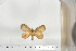  ( - BC-TB6748)  @12 [ ] Copyright (2010) Thierry Bouyer Research Collection of Thierry Bouyer