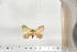  ( - BC-TB6749)  @12 [ ] Copyright (2010) Thierry Bouyer Research Collection of Thierry Bouyer