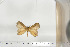  ( - BC-TB6750)  @12 [ ] Copyright (2010) Thierry Bouyer Research Collection of Thierry Bouyer