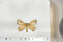  ( - BC-TB6751)  @12 [ ] Copyright (2010) Thierry Bouyer Research Collection of Thierry Bouyer