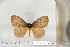  ( - BC-TB6761)  @12 [ ] Copyright (2010) Thierry Bouyer Research Collection of Thierry Bouyer