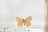  ( - BC-TB6785)  @12 [ ] Copyright (2010) Thierry Bouyer Research Collection of Thierry Bouyer