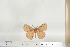  ( - BC-TB6787)  @12 [ ] Copyright (2010) Thierry Bouyer Research Collection of Thierry Bouyer