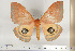  ( - BC-TB6798)  @13 [ ] Copyright (2010) Thierry Bouyer Research Collection of Thierry Bouyer