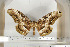  ( - BC-TB6812)  @13 [ ] Copyright (2010) Thierry Bouyer Research Collection of Thierry Bouyer