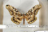  ( - BC-TB6813)  @13 [ ] Copyright (2010) Thierry Bouyer Research Collection of Thierry Bouyer