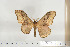  ( - BC-TB6821)  @13 [ ] Copyright (2010) Thierry Bouyer Research Collection of Thierry Bouyer