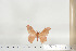  ( - BC-TB6830)  @13 [ ] Copyright (2010) Thierry Bouyer Research Collection of Thierry Bouyer