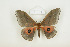  ( - BC-TB8503)  @14 [ ] Copyright (2012) Thierry Bouyer Research Collection of Thierry Bouyer