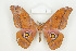  ( - BC-TB8512)  @14 [ ] Copyright (2012) Thierry Bouyer Research Collection of Thierry Bouyer