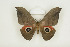  ( - BC-TB8517)  @13 [ ] Copyright (2012) Thierry Bouyer Research Collection of Thierry Bouyer