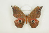  ( - BC-TB8518)  @13 [ ] Copyright (2012) Thierry Bouyer Research Collection of Thierry Bouyer