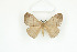  ( - BC-TB8654)  @13 [ ] Copyright (2012) Thierry Bouyer Research Collection of Thierry Bouyer