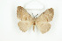  ( - BC-TB8656)  @13 [ ] Copyright (2012) Thierry Bouyer Research Collection of Thierry Bouyer