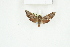  ( - BC-TB8220)  @11 [ ] Copyright (2011) Thierry Bouyer Research Collection of Thierry Bouyer