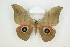  ( - BC-TB8279)  @14 [ ] Copyright (2011) Thierry Bouyer Research Collection of Thierry Bouyer