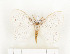  ( - CTBB-1036)  @12 [ ] Copyright (2013) Thierry Bouyer Research Collection of Thierry Bouyer