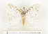  ( - CTBB-1039)  @13 [ ] Copyright (2013) Thierry Bouyer Research Collection of Thierry Bouyer
