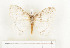  ( - CTBB-1043)  @13 [ ] Copyright (2013) Thierry Bouyer Research Collection of Thierry Bouyer