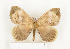  ( - CTBB-1046)  @13 [ ] Copyright (2013) Thierry Bouyer Research Collection of Thierry Bouyer