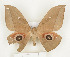  ( - CTBB-1079)  @13 [ ] Copyright (2013) Thierry Bouyer Research Collection of Thierry Bouyer