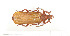  ( - CTBB-0664)  @11 [ ] Copyright (2013) Thierry Bouyer Research Collection of Thierry Bouyer