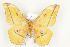  ( - CTBB-0747)  @14 [ ] Copyright (2013) Thierry Bouyer Research Collection of Thierry Bouyer (in IRSNB)
