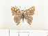  ( - CTBB-0778)  @11 [ ] Copyright (2013) Thierry Bouyer Research Collection of Thierry Bouyer