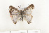  ( - CTBB-0831)  @11 [ ] Copyright (2013) Thierry Bouyer Research Collection of Thierry Bouyer