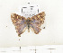  ( - CTBB-0834)  @12 [ ] Copyright (2013) Thierry Bouyer Research Collection of Thierry Bouyer
