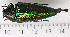  ( - CTBB-0846)  @12 [ ] Copyright (2013) Thierry Bouyer Research Collection of Thierry Bouyer