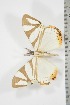  ( - BC-TB3792)  @11 [ ] Copyright (2010) Unspecified Research Collection of Thierry Bouyer